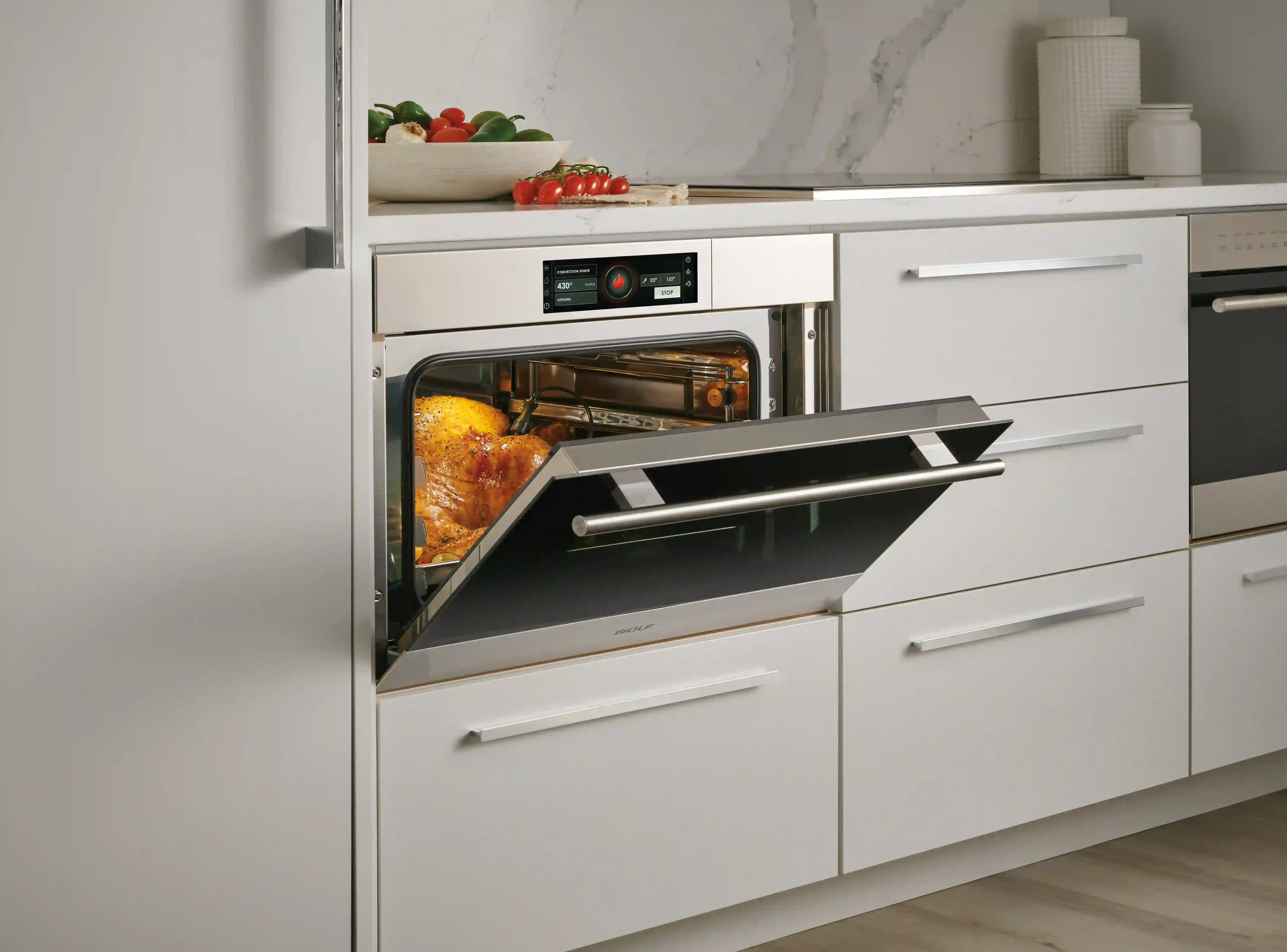 Professinoal convection steam oven